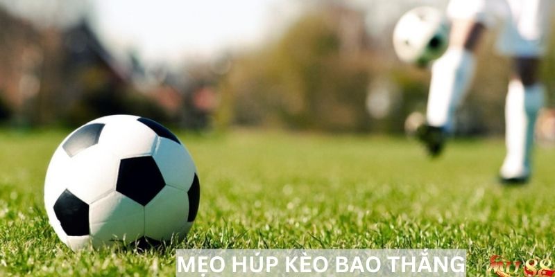 Mẹo húp kèo bao thắng, tham khảo ngay